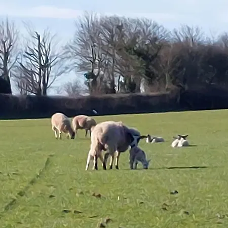 Tatil Evi Seaview In Baycliff, Cumbria Baycliff